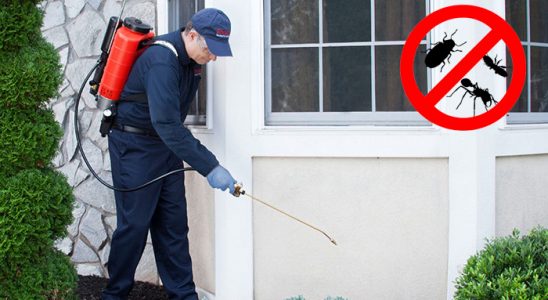 Pursaklar Kene İlaçlama böcek ilaçlama ve haşere kontrolü — ilaclama-tr.com